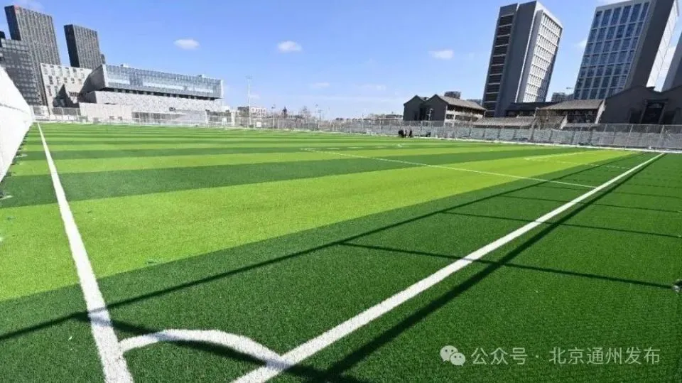 如何在篮球冬令营中加强体能训练？_0