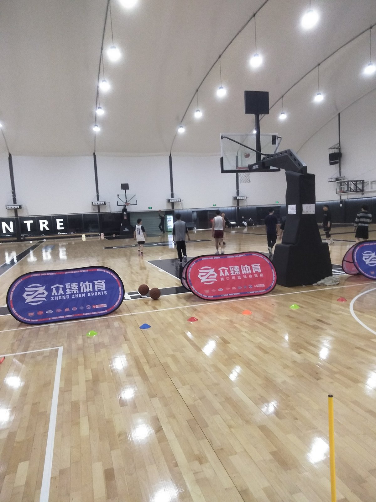 肃宁县体育馆篮球训练营在哪